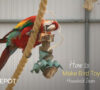 How to make bird toys out of household items