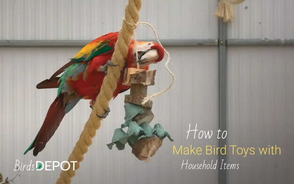 bird toys out of household items