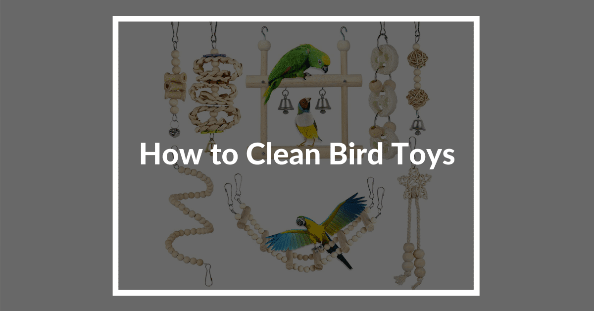 How to clean bird toys