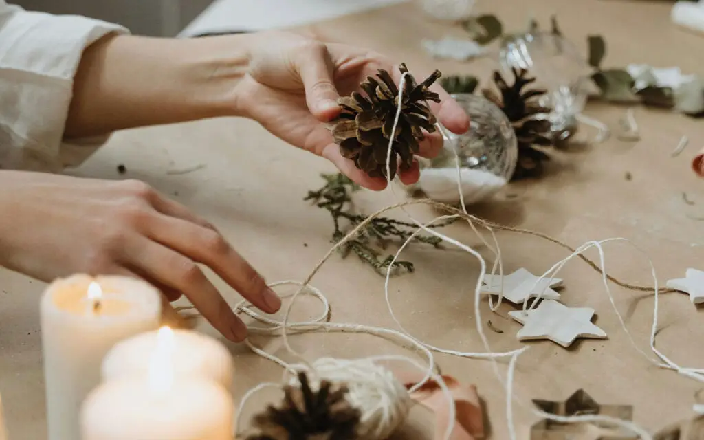 DIY Pinecone Foraging Toy for bird