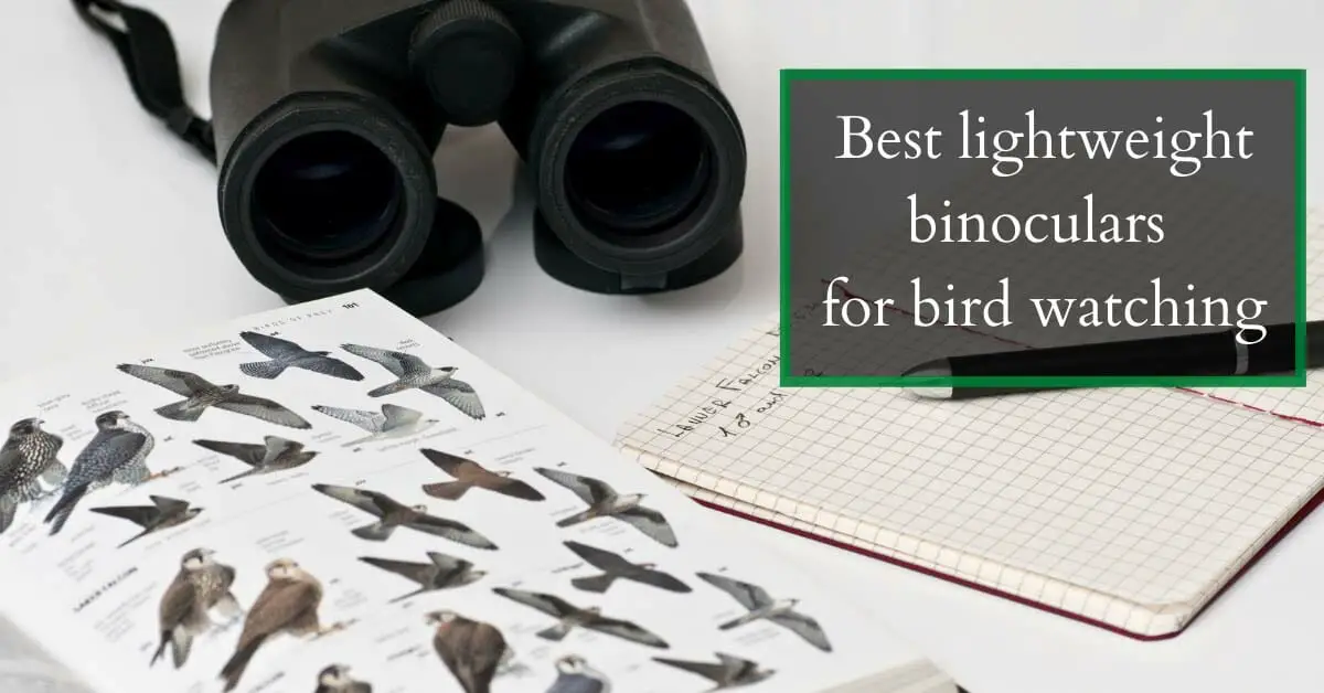 5 Best Lightweight Binoculars For Bird Watching In 2022