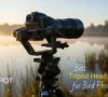 Top 5 Tripod Heads for Bird Photography (Expert Tested)