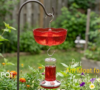 Keep Ants Away: Best Ant Moat for Hummingbird Feeders