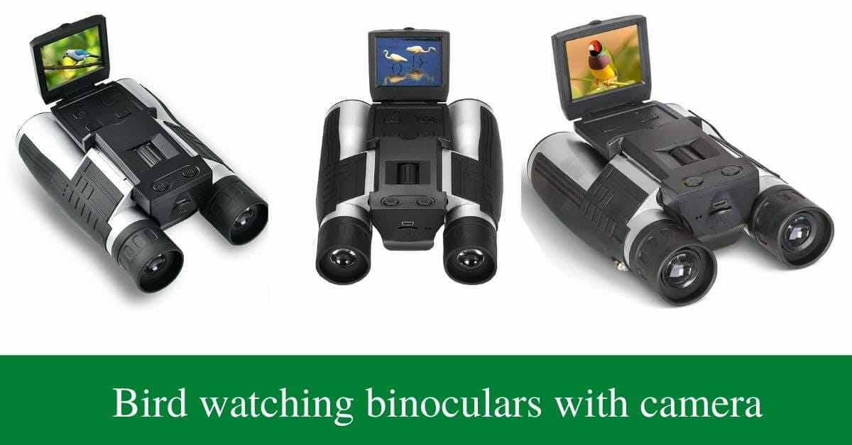 Best binoculars with camera for bird watching