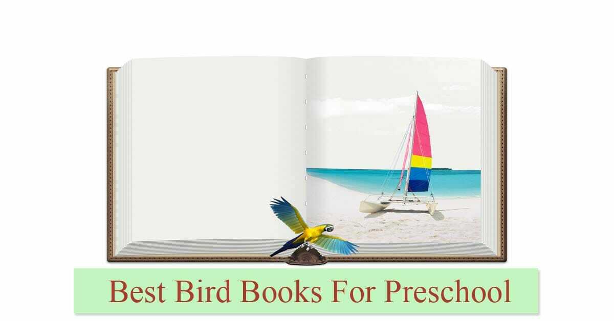 Best bird books for preschool