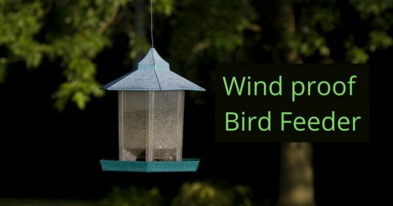 Best bird feeders for windy areas