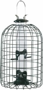 Audubon Squirrel Proof Feeder