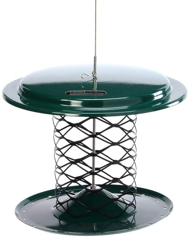 6 Best bird feeder for peanuts in 2022 BirdsDepot