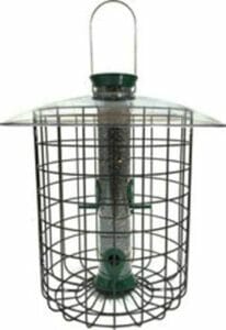 Droll Yankees Bird Feeder