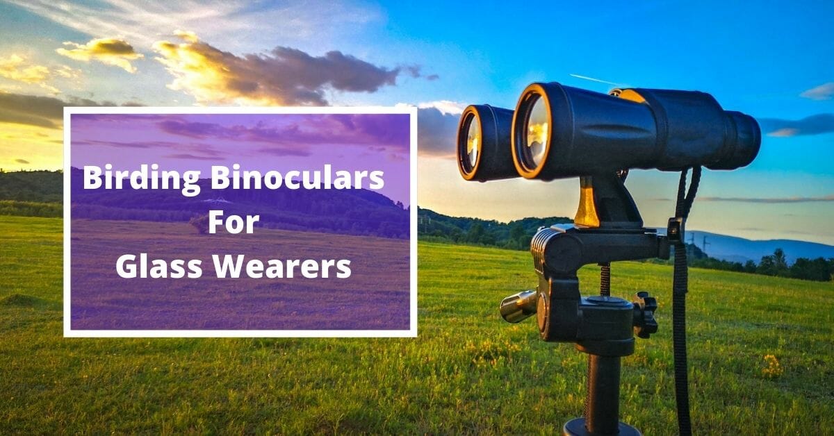 Best birding binoculars for eyeglass wearers