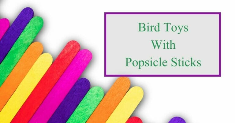 How to make bird toys with popsicle sticks