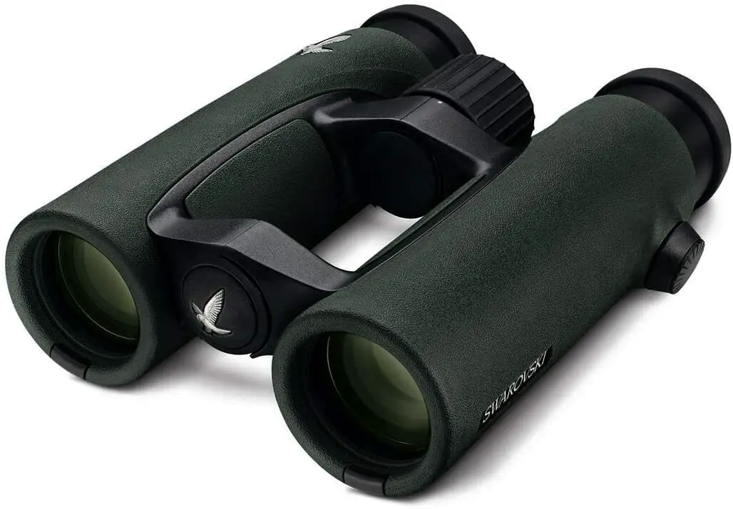 5 Best Birding Binoculars For Eyeglass Wearers In 2022