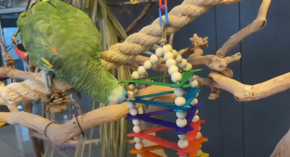 hanging toy making using popsicle sticks