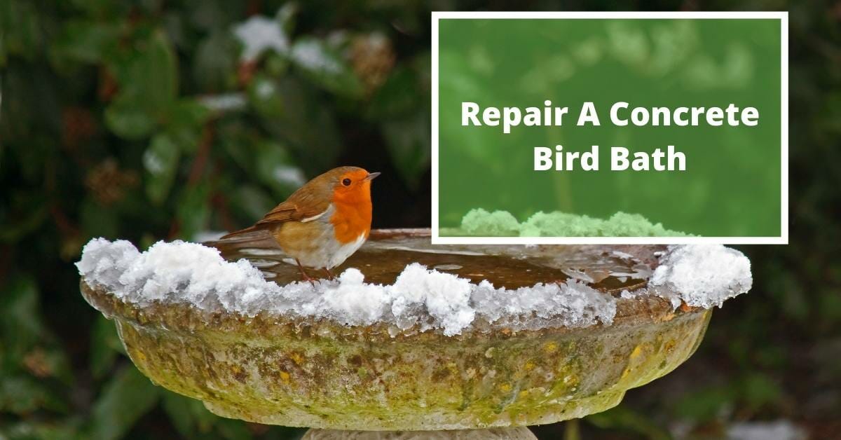 repair concrete bird bath