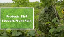 How To Build A Blind For Bird Photography?