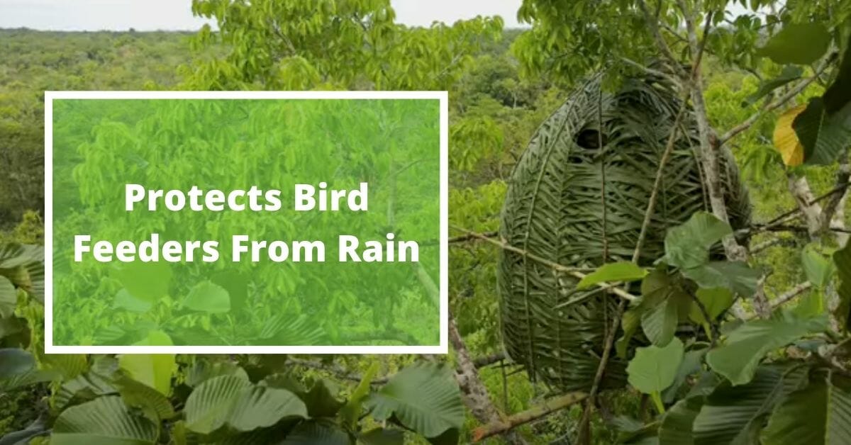 How To Build A Blind For Bird Photography