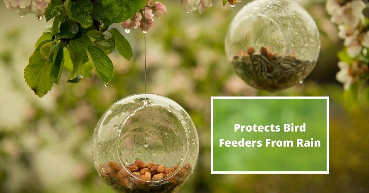 How To Protect Bird Feeders From Rain