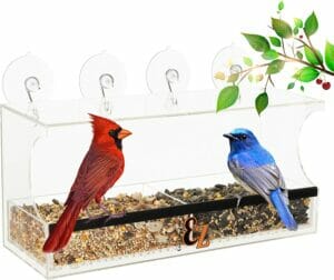 Entirely Zen Superior Window Bird Feeder