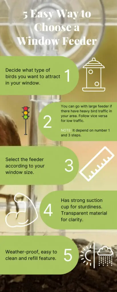 How to Choose a window Bird Feeder