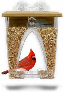 Roamwild Beautiful Arch Window Wild Bird Feeder