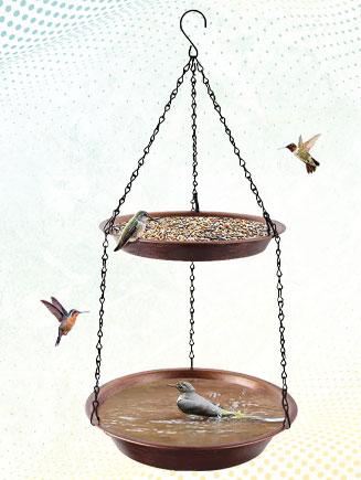 The Best 2-in-1 Birdfeeder & Bathbath Bowls