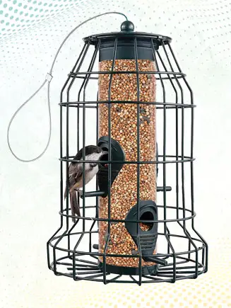 Large Bird Feeder with 4 Perches For Small Backyard Birds ONLY
