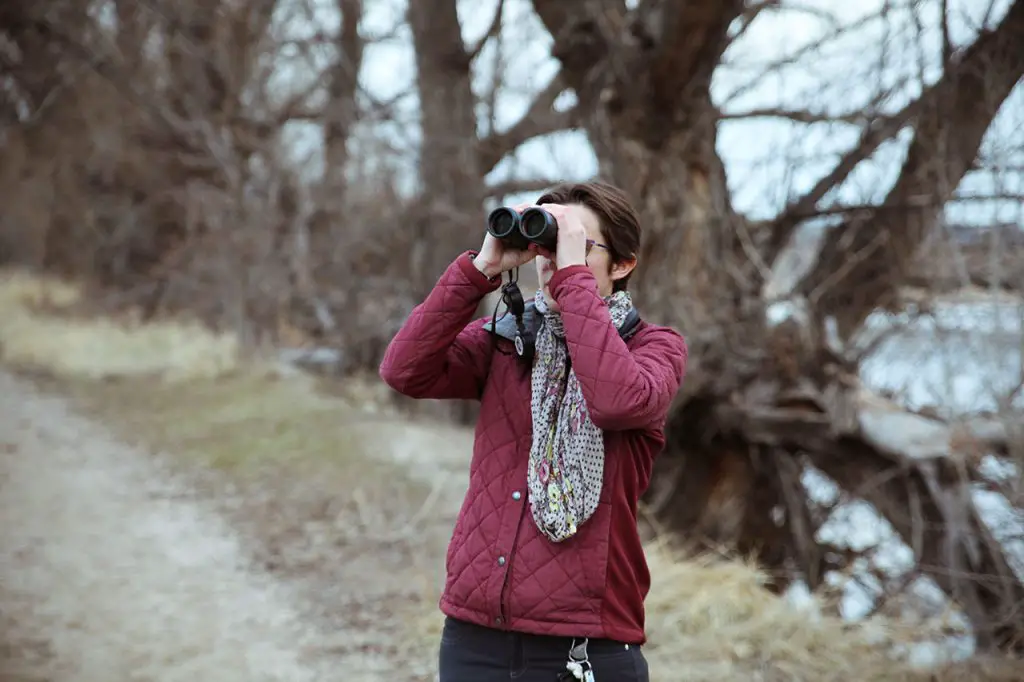 Lauren Kaye watching bird