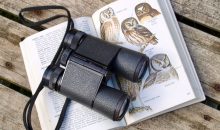Best Lightweight Binoculars for Bird Watching: A Buying Guide