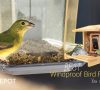 6 Best Windproof Bird Feeder for Windy Areas