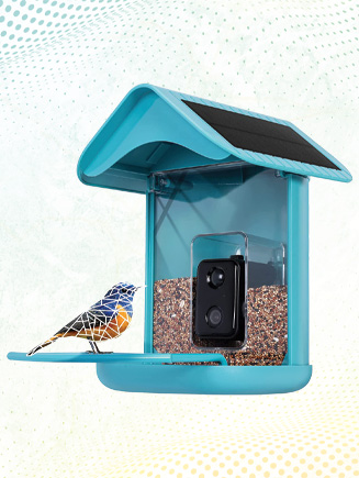 Cuckoo - Smart Bird Feeder with Camera