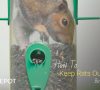 20 Ways to Keep Mice and Rats Away from Bird Feeders