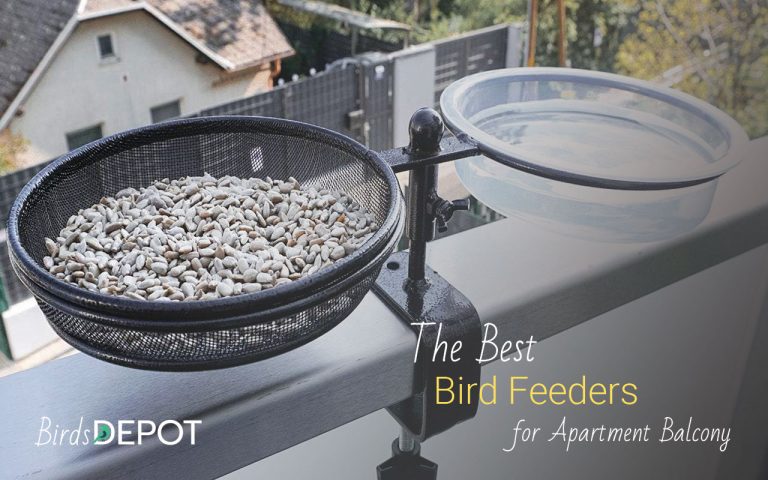 bird feeders for apartment balconies