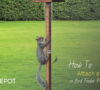 How to Attach a Slinky to Bird Feeder Pole to Keep Squirrels Away