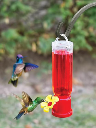 Perchless hummingbird feeder