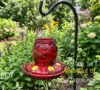 7 Proven Methods to Keep Ants Out of Hummingbird Feeders